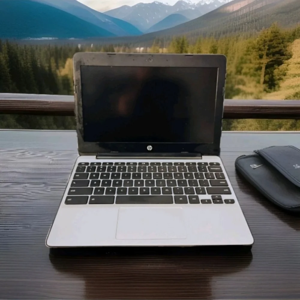 HP Black and Silver Laptop